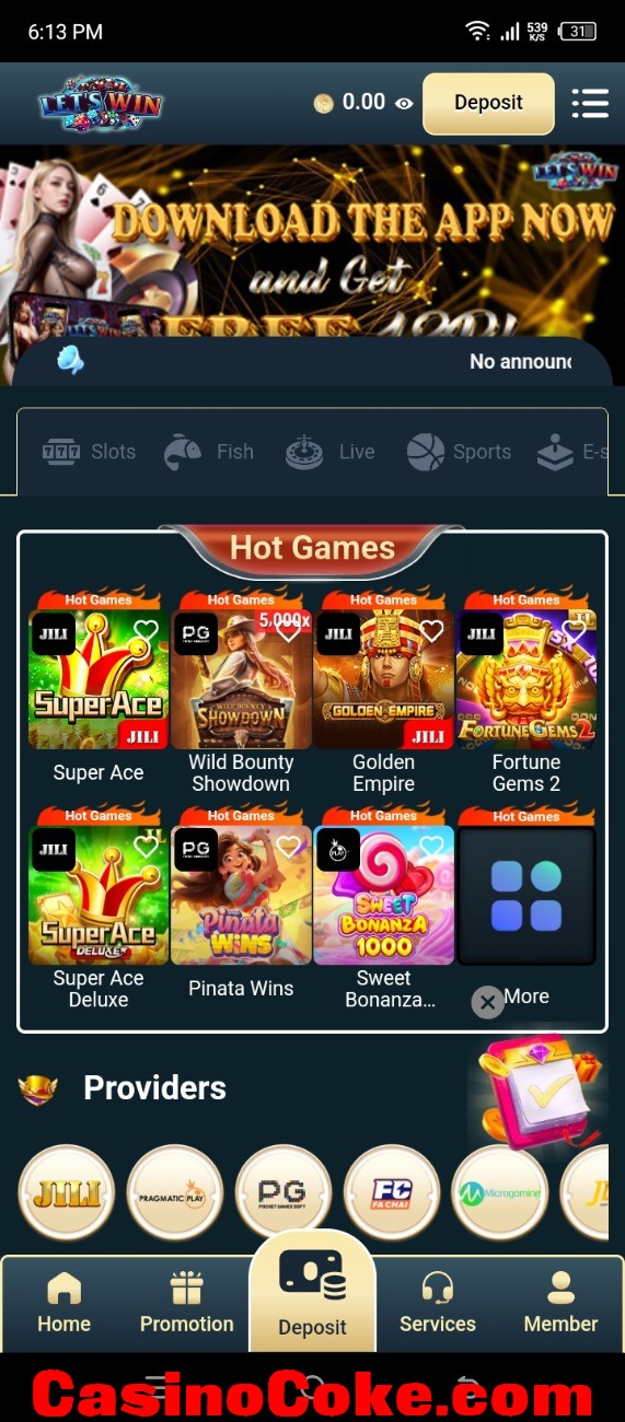 Screenshot_20241030-181332.jpg
