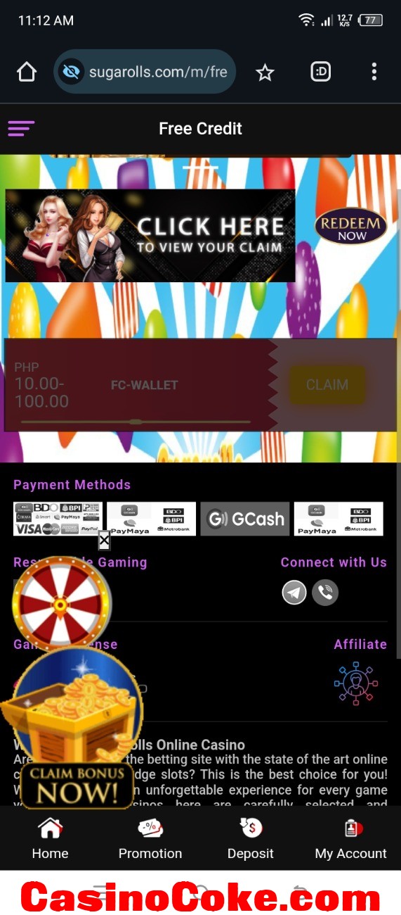 Screenshot_20241205-111217.jpg